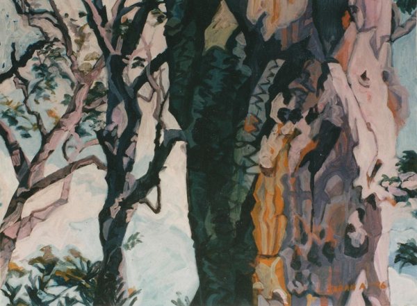 Sarah Aylward Bark Patterns